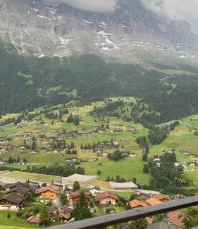 Grindelwald Apartment | Chalet Aphrodite Ost