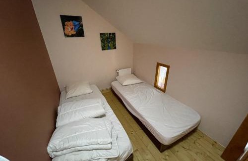 Laveissiere Apartment | Chalet cosy 50m² avec WiFi à 300m des pistes, 2 chambres, casier à skis, proche gare et navette - FR-1-787-12