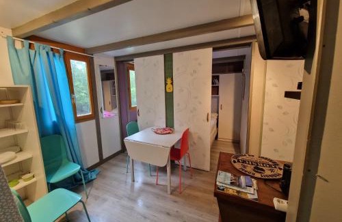 Ghisoni Ski Chalet | Chalet de Caralba Piscine