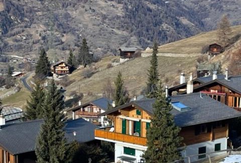 Graechen Apartment | Chalet La Lumiere by Alte Bock