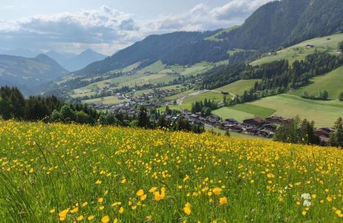 Alpbach Ski Chalet | Chalet Mountain View
