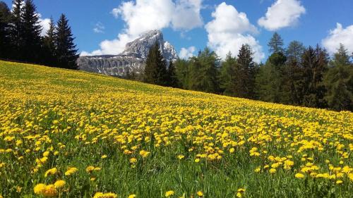 San Martino in Badia Ski Chalet | chalet soredl