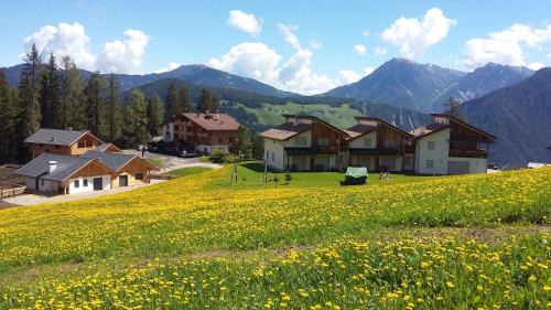 San Martino in Badia Ski Chalet | chalet soredl