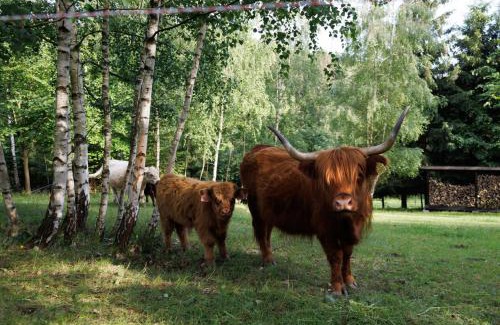 Prostredni Becva House | Chalupa na Bečvách
