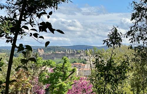 Carcassonne Bed & Breakfast | Chambre avec vue