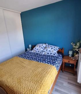 Saint-Pierre-en-Faucigny House | Chambre confortable chez l'habitant