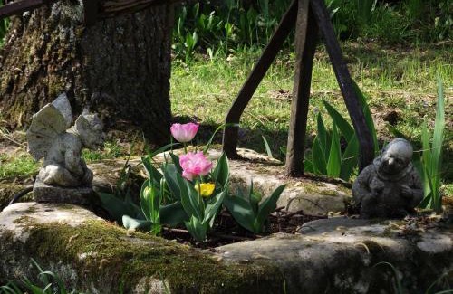 Cheille Bed & Breakfast | Chambre d'hôtes Le Vaujoint