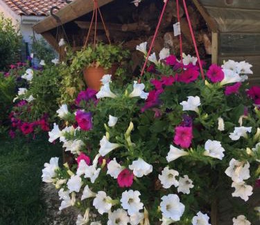 Soulac-sur-Mer Bed & Breakfast | Chambres d'Hôtes d'Aliénor