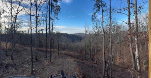 Ellijay Ski Chalet | Charlis Place Private Lux Cabin HotTub MT Views