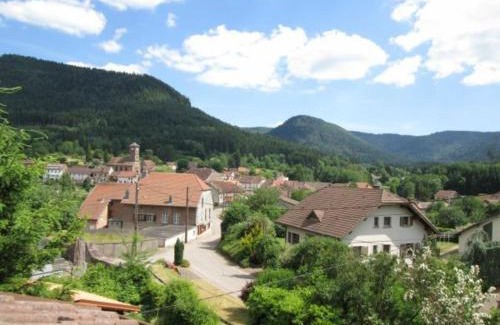Bionville House | Charmant Gîte Vosgien avec Terrasse, Randonnées et Lacs, Proche Alsace et Col du Donon - FR-1-584-54