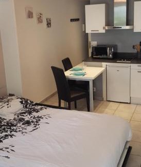 Aix-les-Bains Apartment | Charmant studio 2* rdc+ terrasse & parking privé