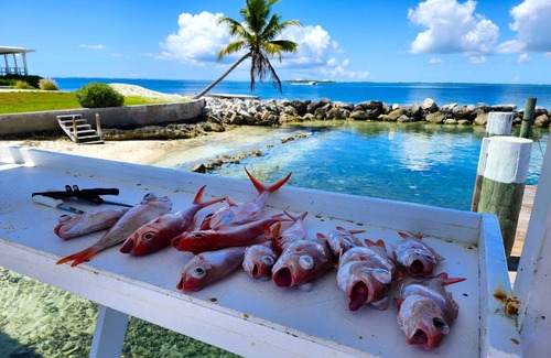 Great Guana Cay Cottage | Charming 2 BR cottage in Great Guana Cay short walk to beach, AC WiFi Generator