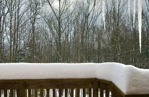 Bromley Mountain House | Charming and Warm Bromley Mountainside Home - Seasonal Rental
