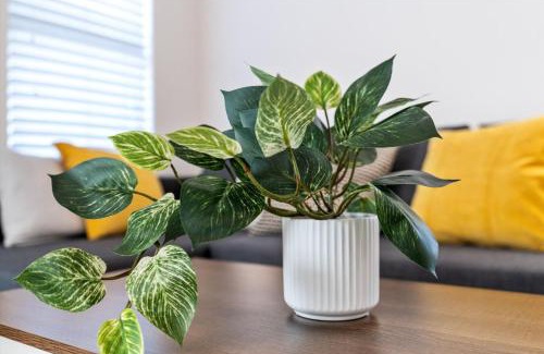Greenslopes At Lake Creek House | Charming casa near historic Downtown, Kalahari etc