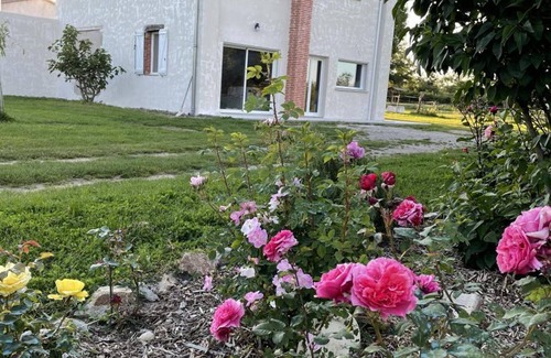 Precieux Cottage | Charming cottage for 5 people with private terrace in the Loire