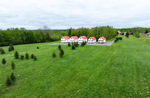Pulaski Cottage | Charming cottage Pulaski VIP Rentals 1.8 miles away from famous salmon river