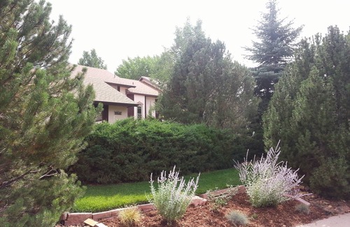 Mountain Shadows House | Charming Home quiet neighborhood lovely back yard 5 min from Garden of Gods