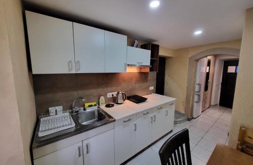 Bohinjska Bela Apartment | Charming Rock Apartment