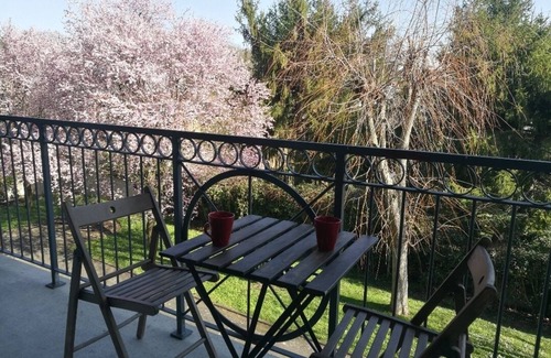 Toulouse South-East Apartment | Charming T2 near city center (cobblestone side)