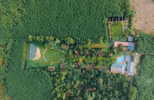 Bo Trach Hotel | Chay Lap Farmstay Phong Nha