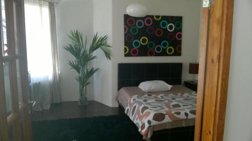 Old Town Apartment | Cheap And Chic