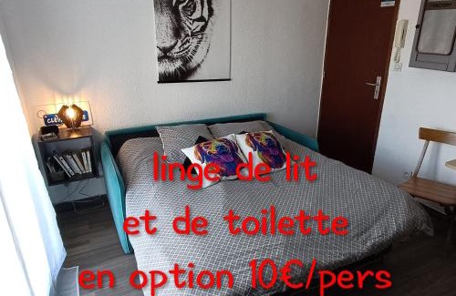 Stella-Plage Apartment | Chez Lilie, Studio cosy classé 2 étoiles Plage de Stella