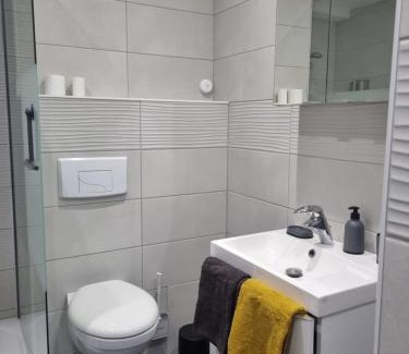 Metz-Centre – Ancienne Ville Apartment | Chez peggy