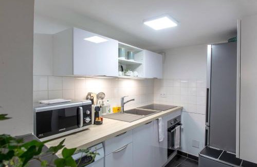 Krutenau Apartment | Chez Samuel 3 pièces au coeur de la Krutenau
