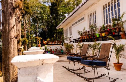 Darjeeling Resort | Chhota Haazri, By The Rajbari Bawali