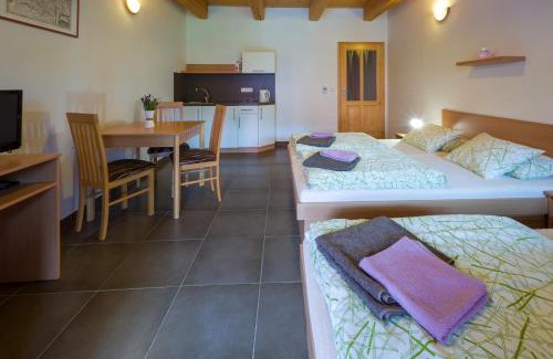 Chlumek Apartment | Chlumecký dvůr