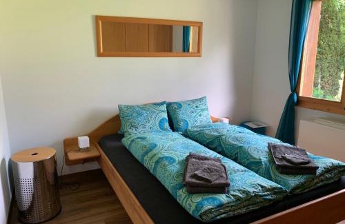 Grindelwald Apartment | Chrinnengletscher