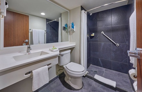 Villa Coapa Hotel | City Express Plus by Marriott Ciudad de México Periférico Sur Tlalpan