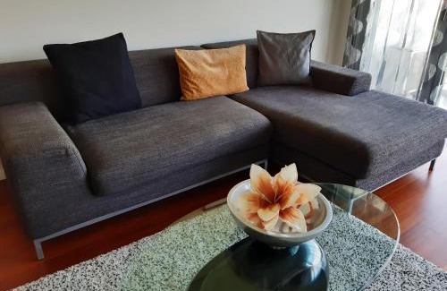 Faja de Baixo Apartment | City View Apartment