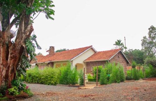 Nairobi Apartment | CJ Party House