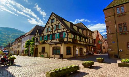 Kaysersberg-Vignoble Apartment | Coeur d'alsace