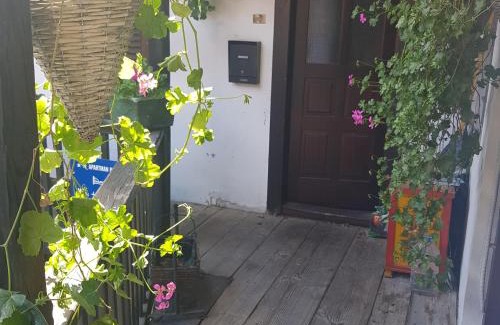Donji Grad Apartment | Come to M2