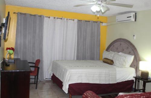 New Kingston Apartment | Comfy, Central & Elegant Studio New Kingston