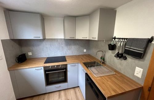 Goldswil Apartment | Completely refurbished comfortable apartment