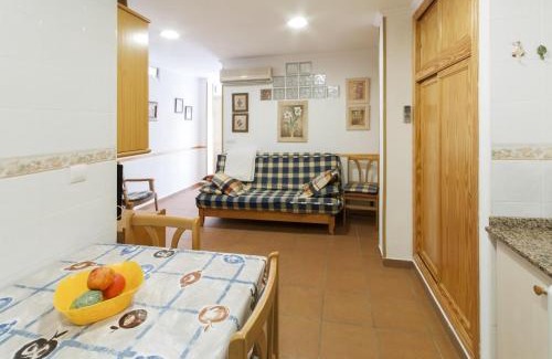Oliva Apartment | Comtessa