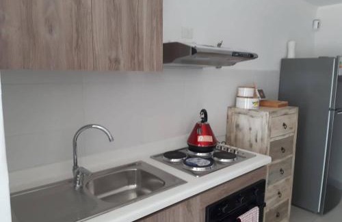 Rancagua Apartment | Condominio parque trapiche 2