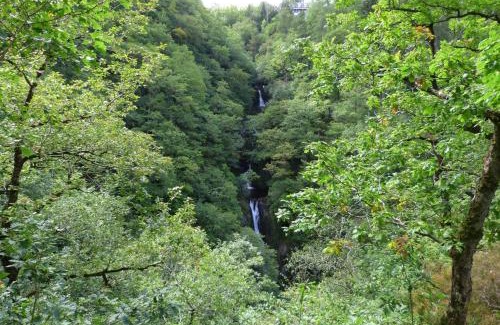 Llanfarian House | Corlan Aber