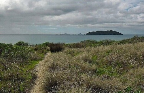 Tairua Cottage | COSY AND CHIC ON OCEAN BEACH - TAIRUA HOLIDAY HOME in Tairua