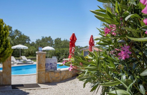 Kastelir Apartment | Cosy apartment for 2 people with WIFI, pool, TV and terrace
