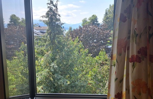 Seewalchen am Attersee Apartment | Cosy apartment for 4 guests with WIFI, TV, patio and panoramic view