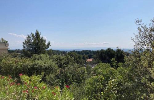 Les Hauts de Villeneuve Apartment | Cosy - Terrasse Vue sur Ventoux