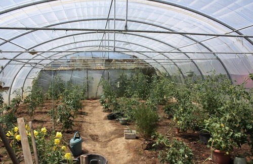 Saint-Pol-de-Leon House | Cottage Bel Air, land and sea, in Saint-Pol-de-Léon (N29)