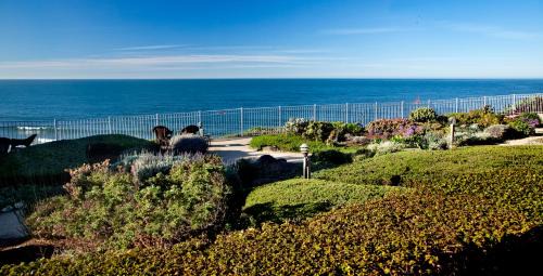 Motel District Hotel | Cottage Inn by the Sea