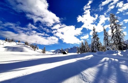 Ribcev Laz Ski Chalet | Cottage Suha