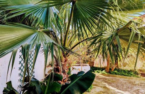 Sobral House | Cozy 3 BR Home - Close to Beach