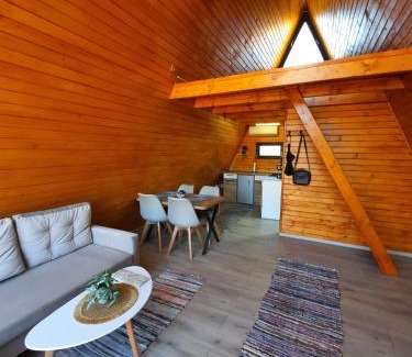 Saru Dornei Ski Chalet | Cozy A-Frame Cabins in Bucovina
